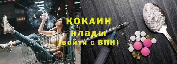 соль ск Алзамай