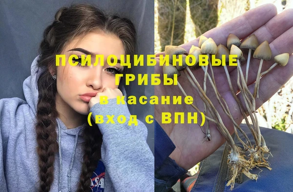 соль ск Алзамай